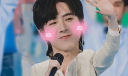 刘宇宁爆料辟谣视频,揭秘真相背后的网络谣言