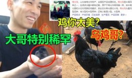 福清鸡哥爆料事件视频播放,揭秘事件背后真相