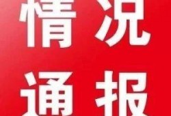 亳州爆料最新消息新闻,突发事件引发关注，详情即将揭晓