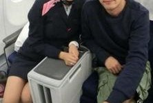 别颜空姐在线观看,空中邂逅，情感交织的云端传奇