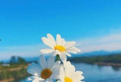 早安最新爆料视频,揭秘视频背后的惊人真相