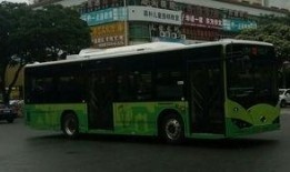 汕头公交爆料事件视频曝光,视频曝光揭示惊人真相